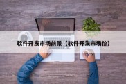 软件开发市场前景（软件开发市场价）